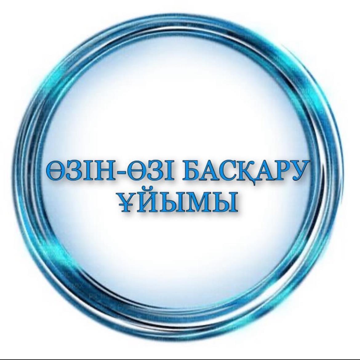 Мектеп Парламенті Президенттігіне үміткерлер сайлауы